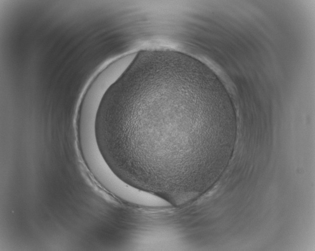 X0000075340864200609292033