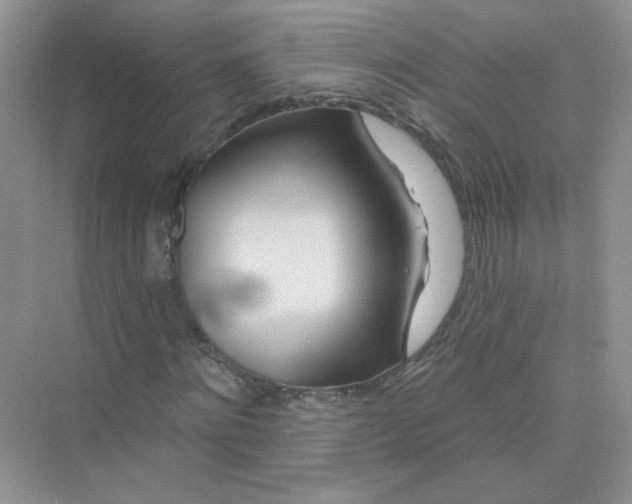 X0000075340868200609292032