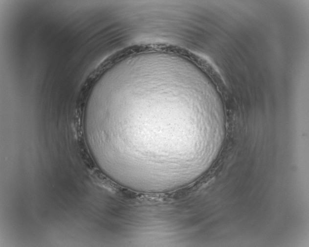 X0000075340871200609292032