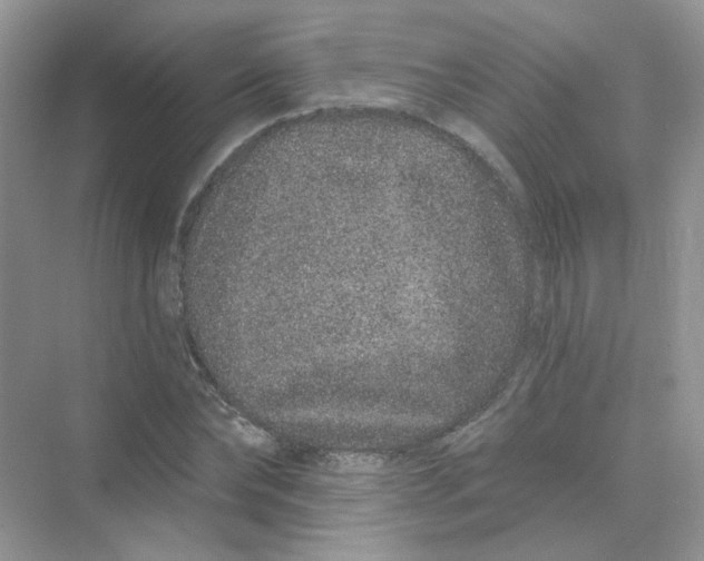 X0000075340878200609292032