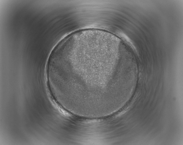 X0000075340892200609292032