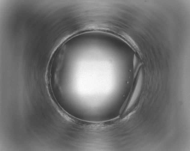 X0000075340893200609292032