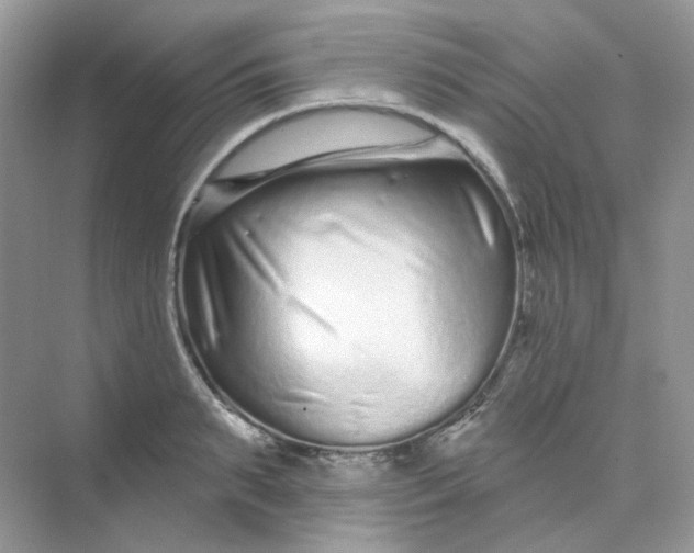 X0000075340895200609292032