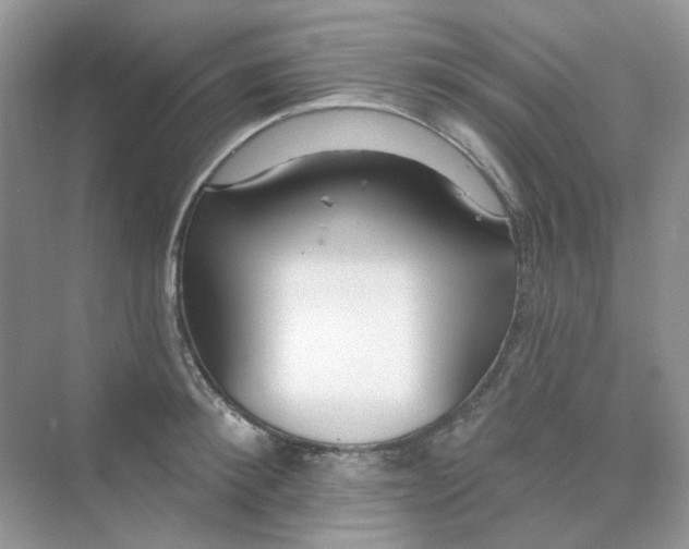 X0000075340900200609292031