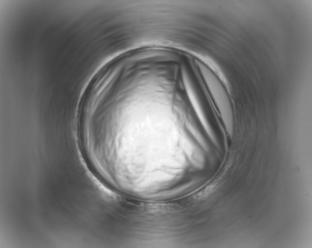 X0000075340903200609292031
