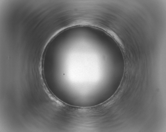 X0000075340904200609292031