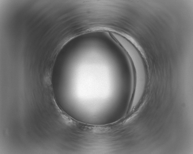 X0000075340905200609292031