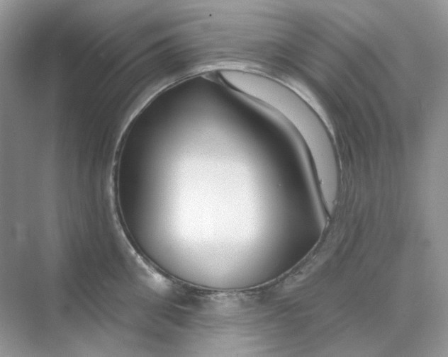 X0000075340906200609292031