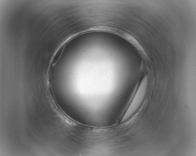 X0000075340908200609292031