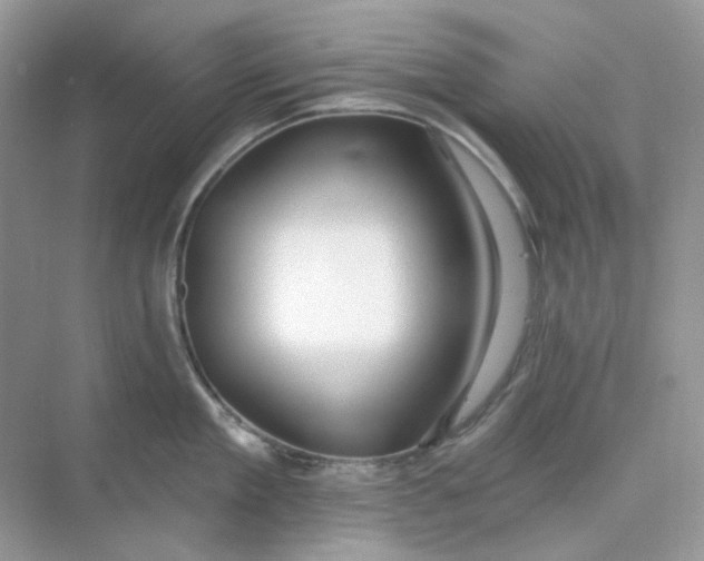 X0000075340909200609292031