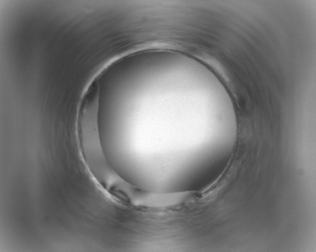 X0000075340910200609292031