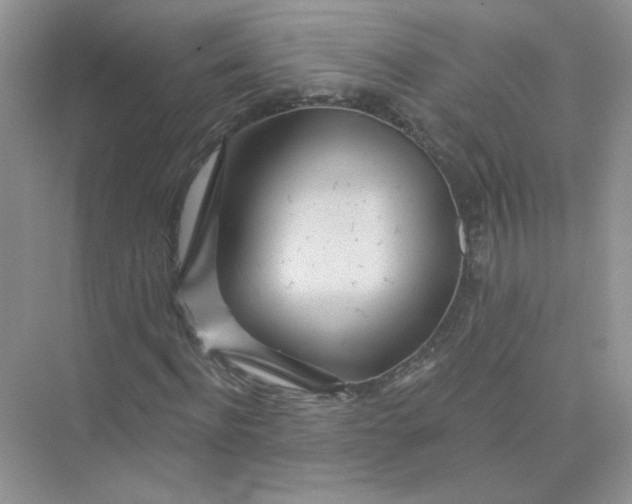 X0000075340916200609292031