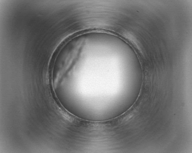 X0000075340924200609292031