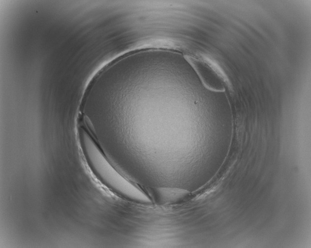 X0000075340944200609292031