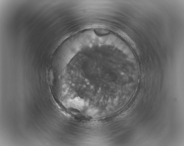 X0000075340945200609292031