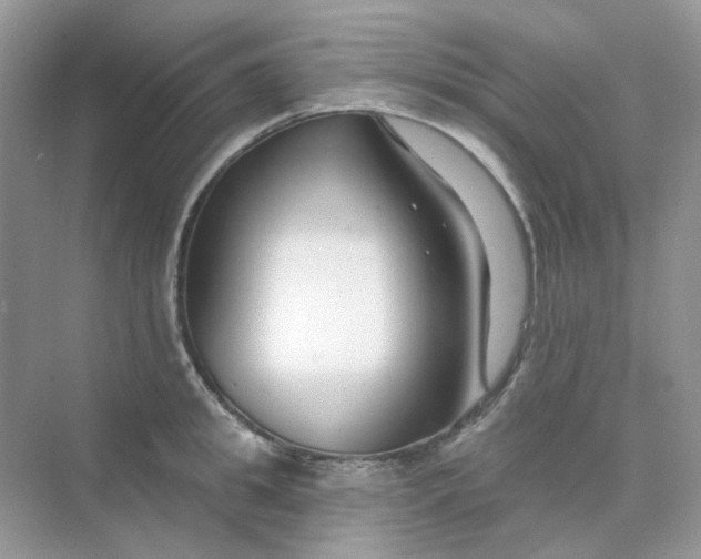 X0000075340949200609292031