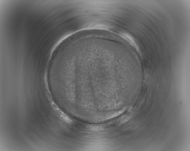 X0000075340952200609292031