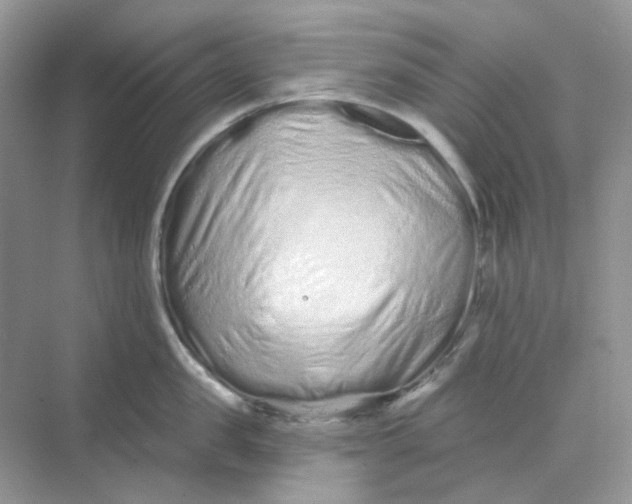 X0000075340957200609292031