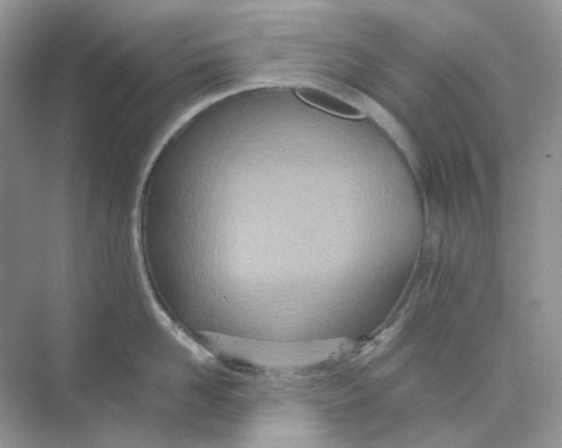 X0000075340958200609292031
