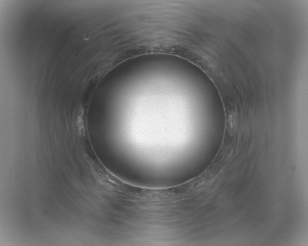 X0000075340963200609292030