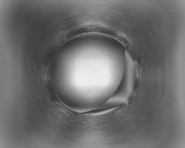 X0000075340965200609292030