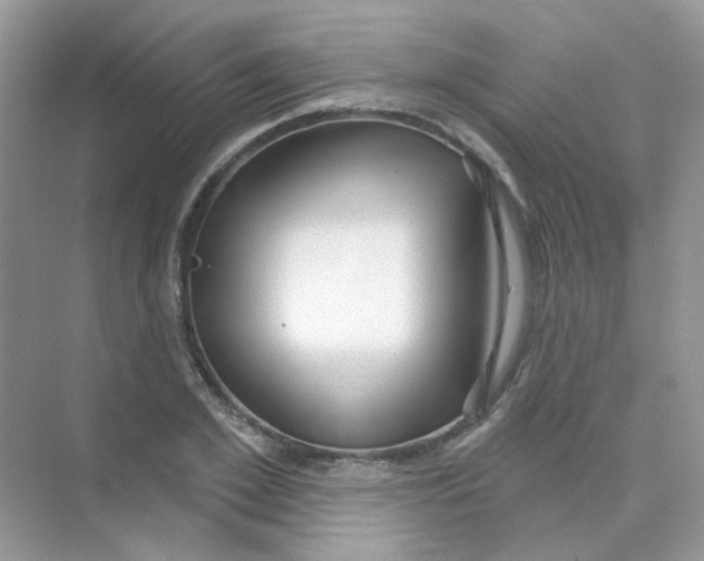 X0000075340981200609292030