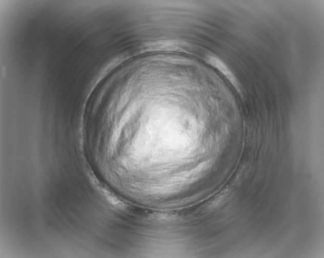 X0000075340994200609292030