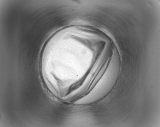 X0000075341008200609292030