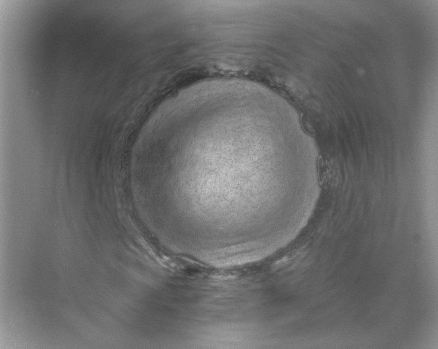 X0000075341009200609292029