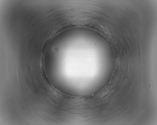X0000075341012200609292029