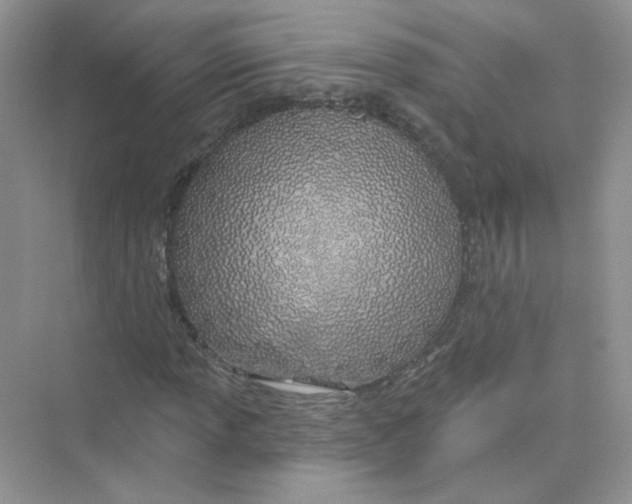 X0000075341013200609292029