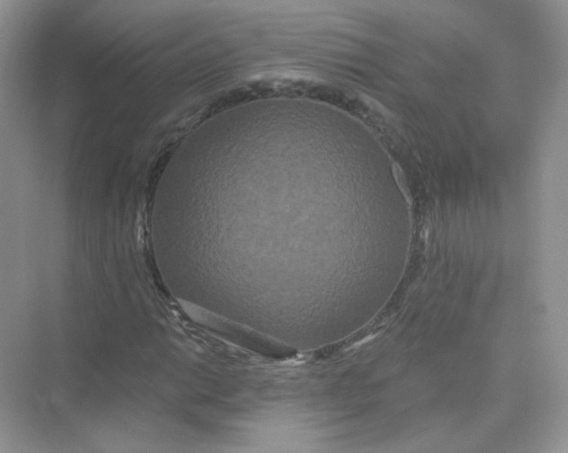 X0000075341014200609292029