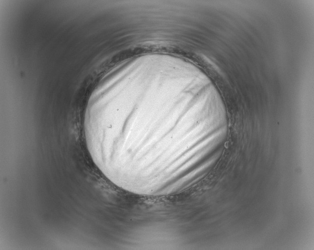 X0000075341015200609292029