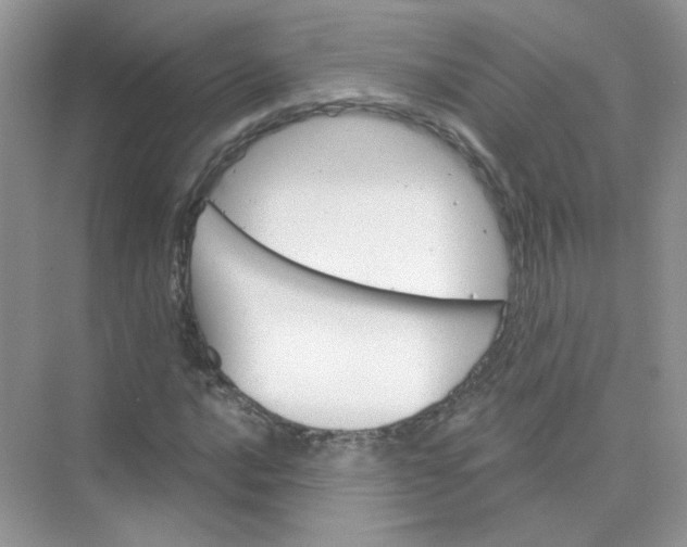 X0000075341016200609292029