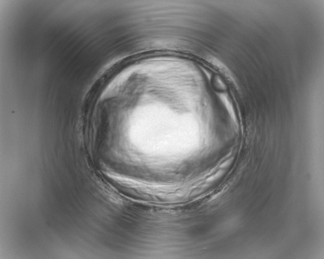 X0000075341019200609292029