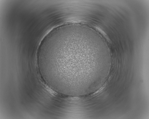 X0000075341023200609292029