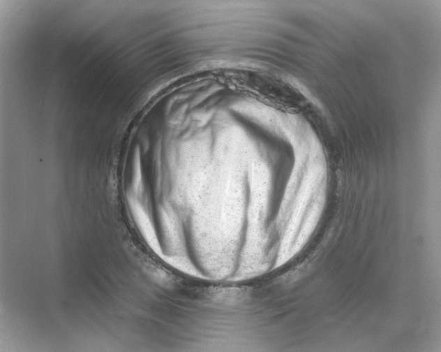 X0000075341025200609292029