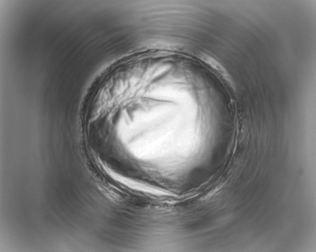 X0000075341027200609292029