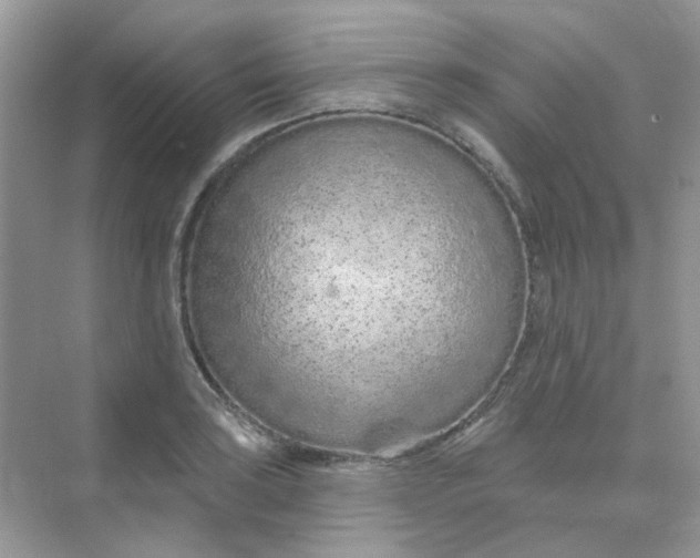 X0000075341035200609292029