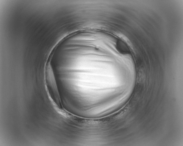 X0000075341039200609292029