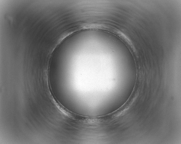 X0000075341041200609292029