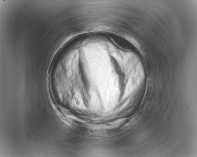 X0000075341047200609292029