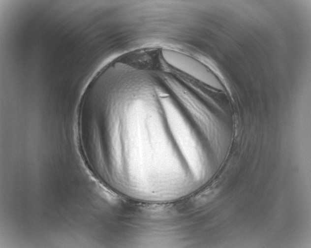 X0000075341048200609292029