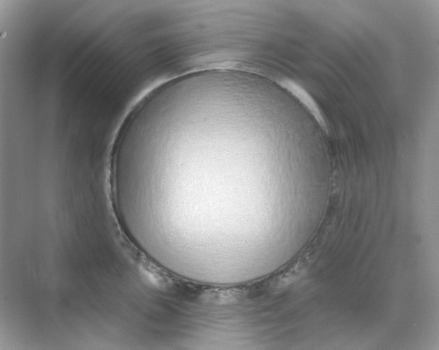 X0000075341051200609292030