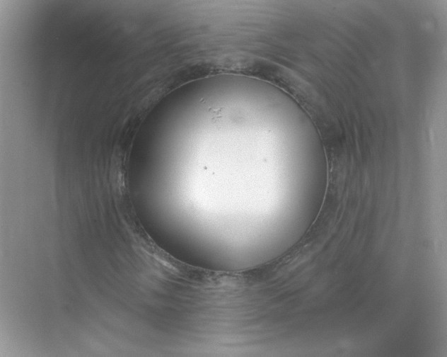 X0000075341058200609292029