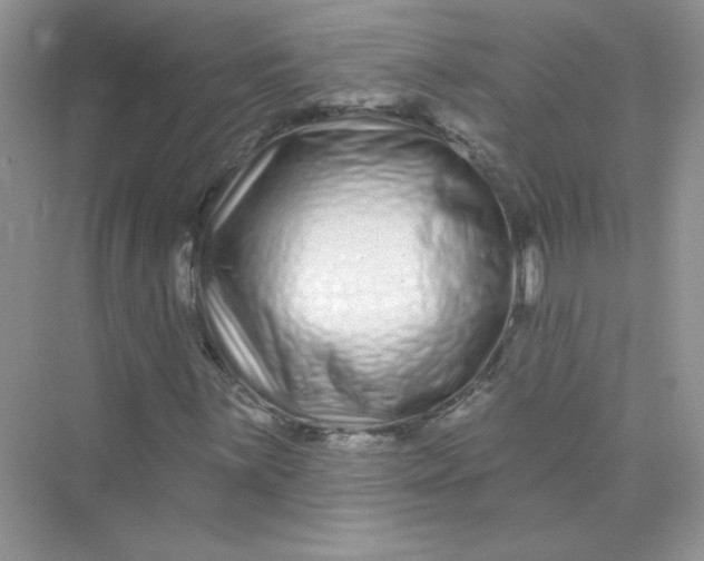 X0000075341059200609292029