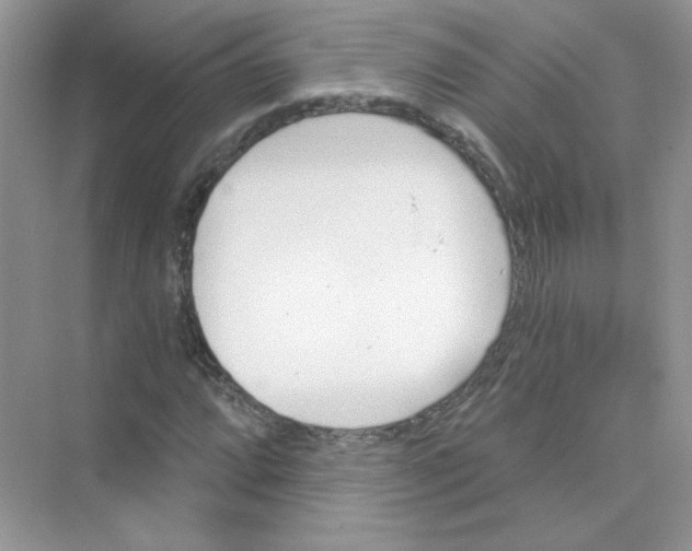 X0000075341064200609292029