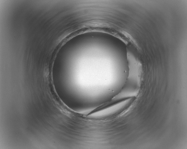 X0000075341065200609292029