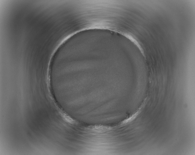 X0000075341077200609292028