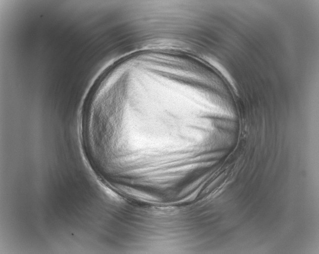 X0000075341083200609292028
